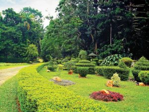 gampaha henarathgoda botanical garden