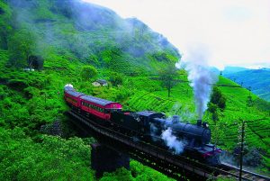 srilankan-train-travelling-through-tea-plantation